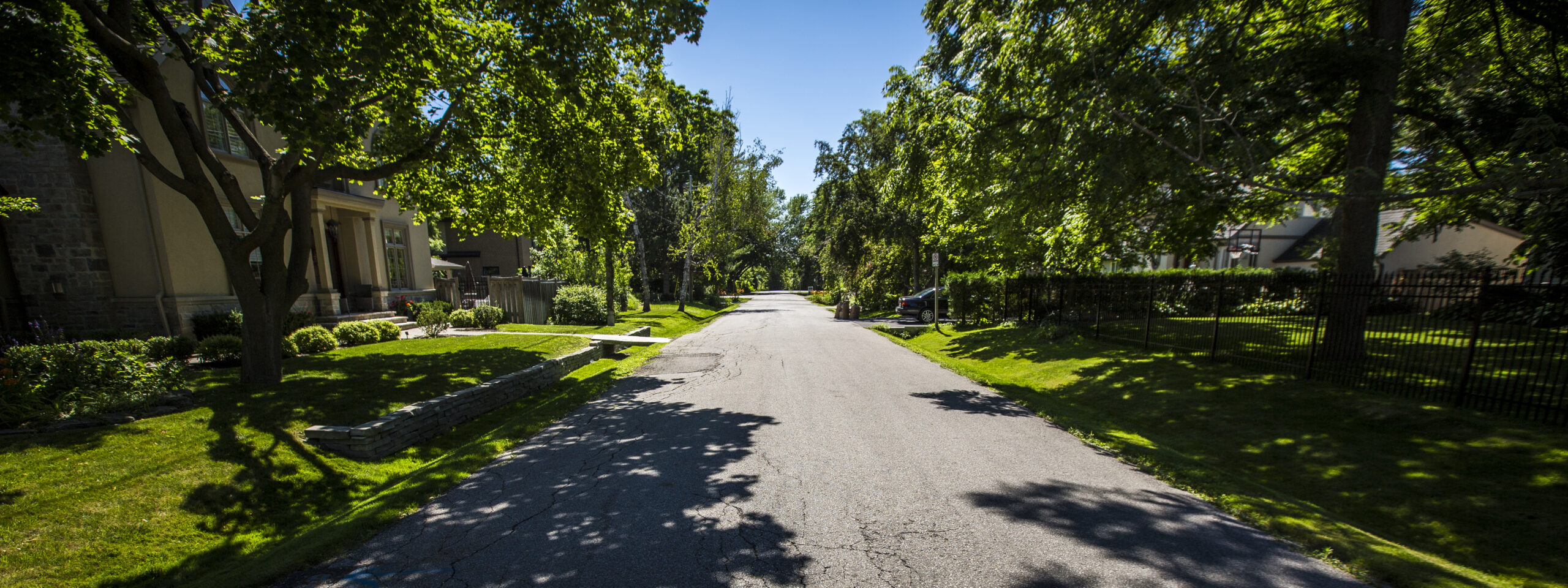 Tree lined residential street in Mineola, Mississauga with mature canopy and large lots
