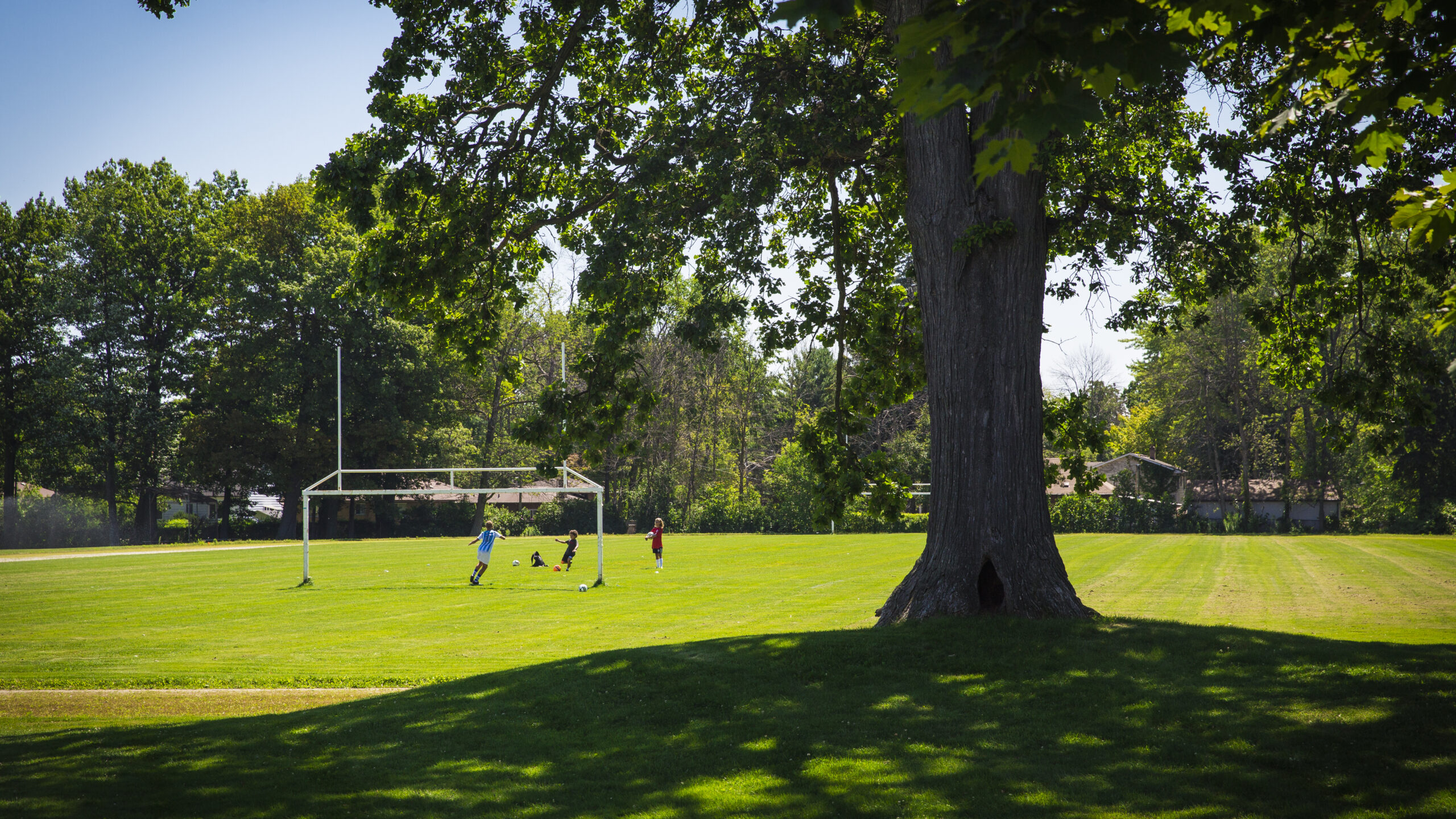 Children playing soccer beside a mature tree in a Mineola neighbourhood park