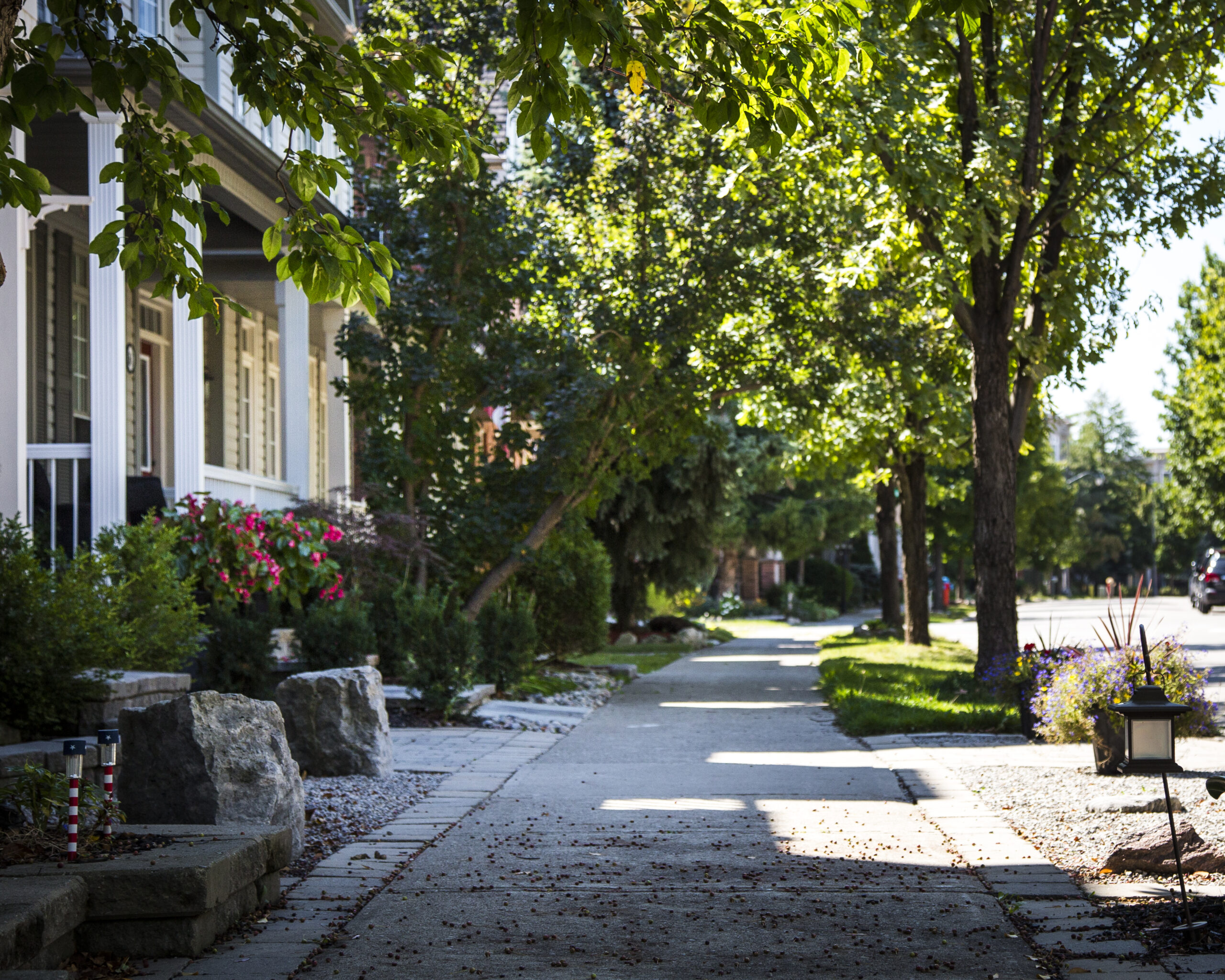 Tree lined walkway in Uptown Core Oakville with condos nearby
