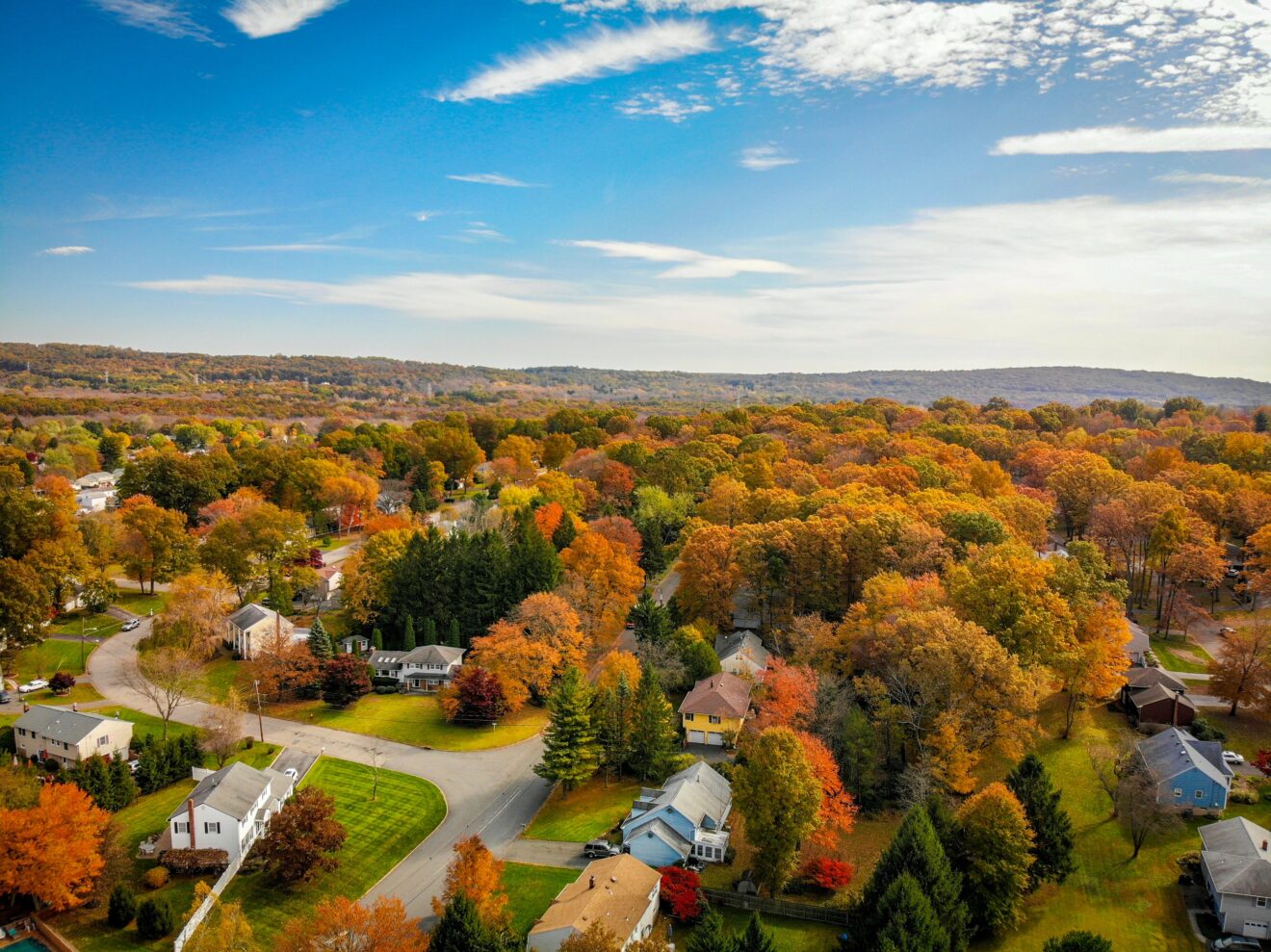 Aerial view of a tree-lined suburban neighbourhood in early fall